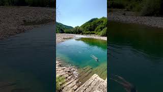 Swimming