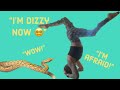 Snakes &amp; Headstands for Beginners!