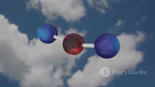 Comparing Various Economic Models to Calculate Optimal Carbon Tax
