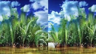 Hiệu Ứng Led - Cánh Đồng Lúa