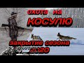 Охота на Косулю  Закрытие сезона 2020