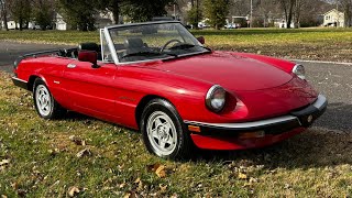 1988 Alfa Romeo Spider For Sale at The Daily Driver Classic Motors 