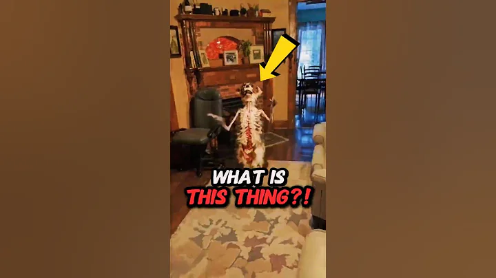 Top 5 Skinwalkers Pretending to Be Pets