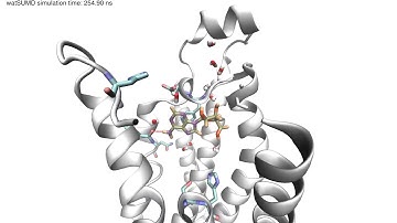 Video 1 adenosine A2A cpr