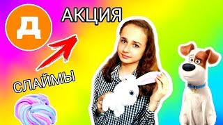СЛАЙМЫ В ДИКСИ АКЦИЯ ТАЙНАЯ ЖИЗНЬ ДОМАШНИХ ЖИВОТНЫХ 2 / #1 СЛАЙМЫ В ДИКСИ АКЦИЯ ТАЙНАЯ ЖИЗНЬ ДОМАШНИХ ЖИВОТНЫХ 2 / #1