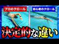 なぜプロは速い?進むクロールの秘密を知る簡単テクニック