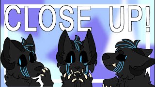 Close Up! Animation Meme Prize