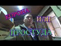 МАЛЕНЬКО ПРИБОЛЕЛ/СЪЕЗДИЛ В МАГАЗИН ЗА ПРОДУКТАМИ/ДОМАШНИЕ ХЛОПОТЫ/