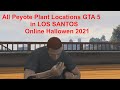 All Peyote Plant Locations GTA 5 in LOS SANTOS Online Hallowen 2021 WSZYSTKIE OWOCE PEJOTLI Z MIASTA