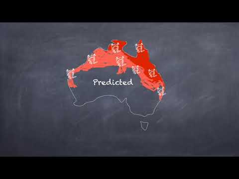 Episode 1. March Of The Cane Toads