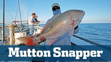 Snapper Secrets - Florida Sport Fishing TV - Best Baits, Rigs, Tactics For Monster Muttons