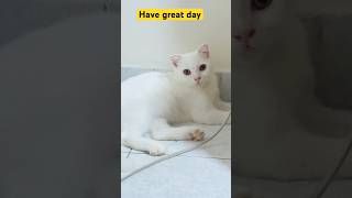 Download Lagu Best fortnight weapon #heartbroken #subscribe #trending #shorts MP3