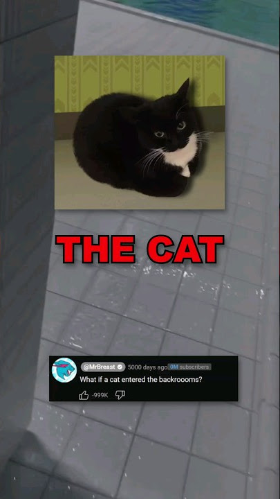 🐱WHAT happens if a CAT enters THE BACKROOMS? (MEOW!)🔑🚪#shorts #backrooms