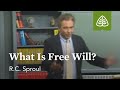 What Is Free Will?: Chosen By God with R.C. Sproul