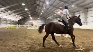 2023 Schooling Flat Three Rivers