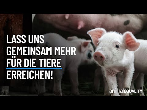 Gemeinsam mehr für die Tiere erreichen!