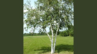 Смотреть клип До Свидания, До Свидания