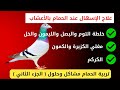 علاج الإسهال عند الحمام ثلاث وصفات طبيعية ممتازة لوقف الإسهال تربية الحمام الزاجل 