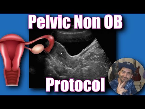 Pelvic Ultrasound Non OB Protocol