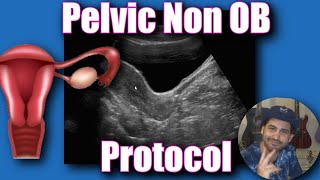 Pelvic Ultrasound Non OB Protocol