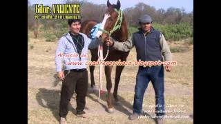 Compilado 25 8 13 Villa Mineti Sta Fe