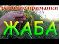 # 41. Щуки на лягушку.