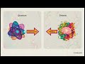 Quantum Parallels