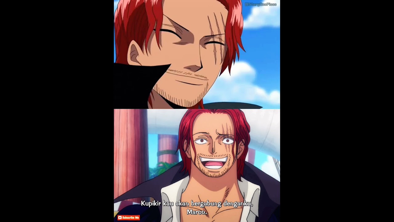 One Piece : Marco Menolak Ajakan Shanks Bergabung 