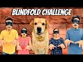 Blindfold challenge at home  leo vs family  anant rastogi