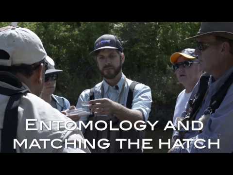 Entomology and Matching the HatchClass Promo
