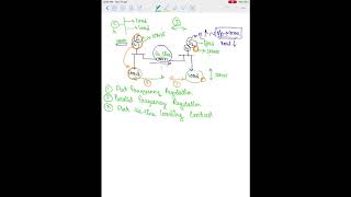Load Frequency Control Part -1 (Bangla)