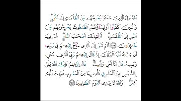 القارئ سعود الشريم - سورة البقرة - من الآية 257 إلى الآية 258