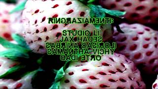 Dadi Etro - Rettiliani Vs La Cena Dei Casi Umaniofficial Video