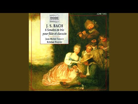 Watch Sonata No. 6 in C Major, After BWV 530: III. Allegro on YouTube