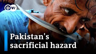 Health disaster: Animal carcasses, intestines on Pakistani streets after Eid al-Adha | DW News