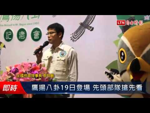 鷹揚八卦19日登場 先頭部隊搶先看 - 鷹揚八卦19日登場 先頭部隊搶先看