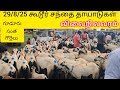 தாயாடுகள் விலை நிலவரம், గొర్రెలు ధరలు,#గూడూరు,#Guduru #nellur jodipi,#ongole #ஆந்திர ஆடுகள்,