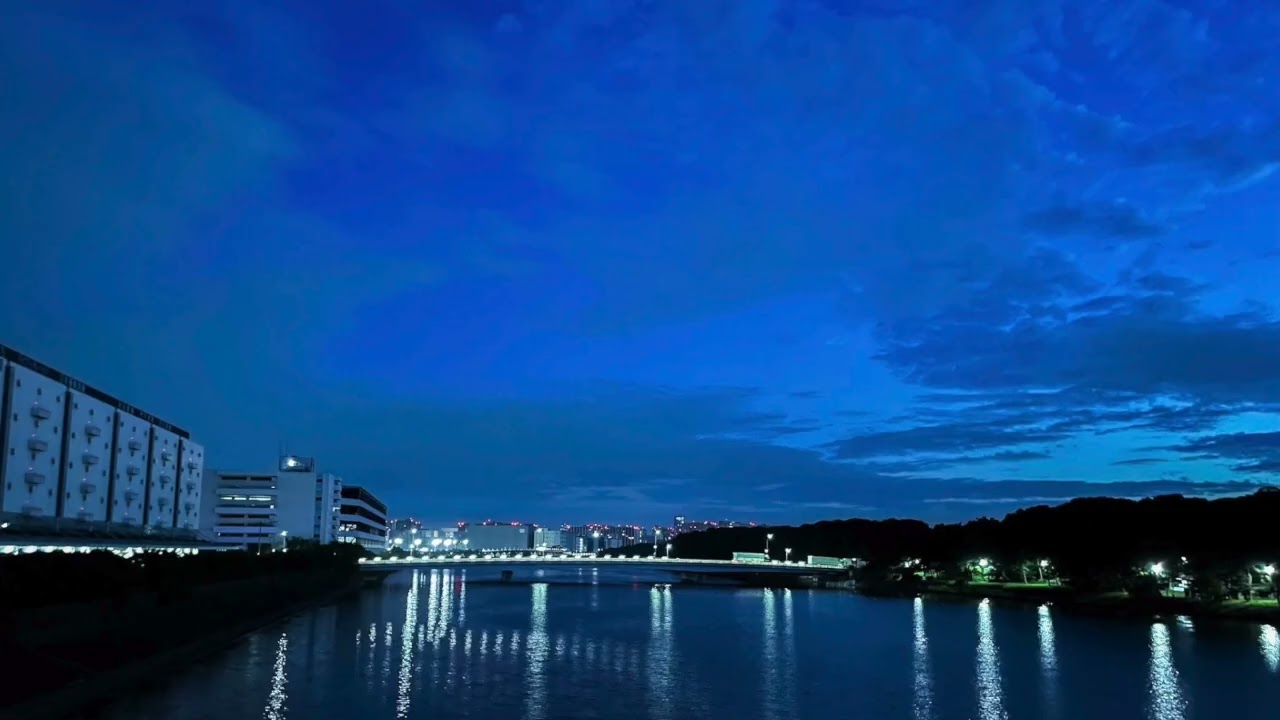 【オリジナル曲】哀しきComplainer/初音ミク