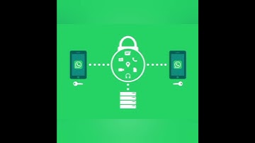 whatsapp par #end-to-end encryption की इतनी importance 😱😱😱 aapko bhi nhi pta ?? #shorts