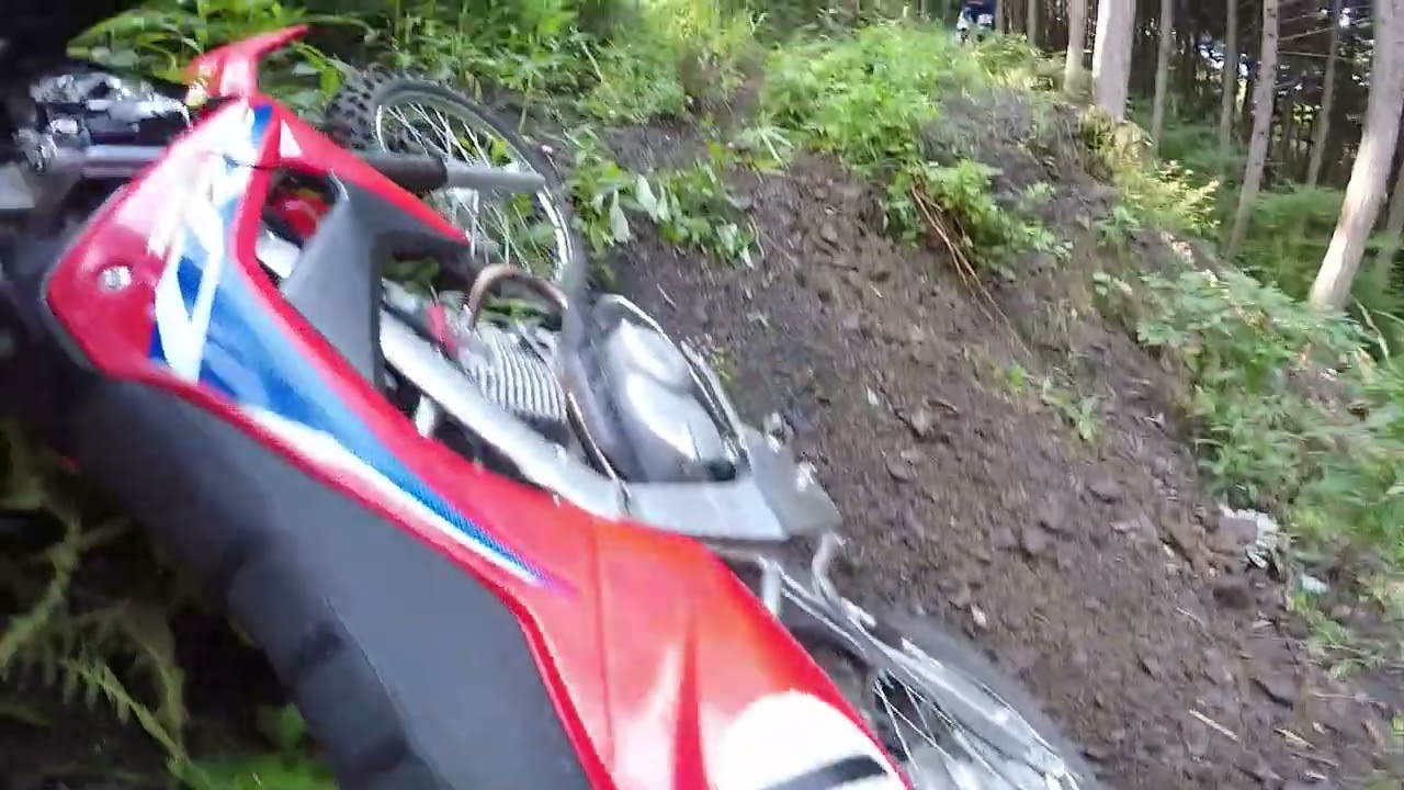 お初の林道　心折れてて崖崩れのぼれず