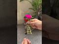 Cutting of portulaca /table moss rose #portulaca #plantgrowingtips #floweringplant #tablerose