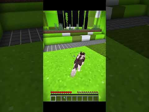 Never trust Rodieeno in Minecraft 💀 |  #minecraft #gaming