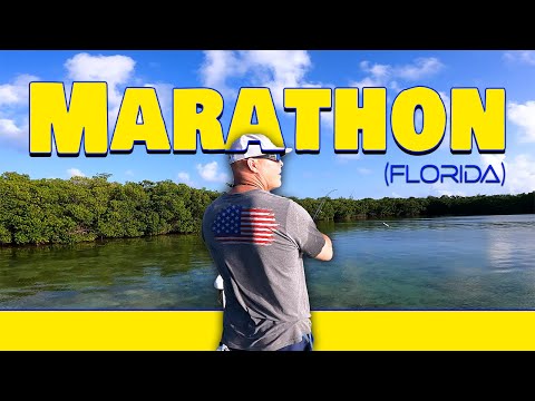 This is How NOT to Catch Bait in Marathon, FL