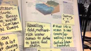 Chapter 16 Sticky Notes 1 of 2
