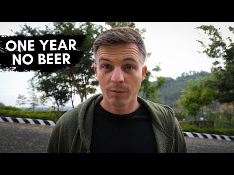 One Year No Alcohol - 1 Month Update