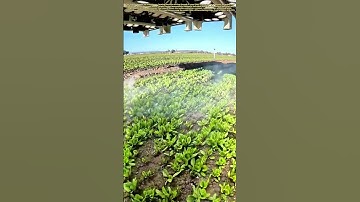 Laser Precision: How Smart Farming Eliminates Weeds Without Chemicals