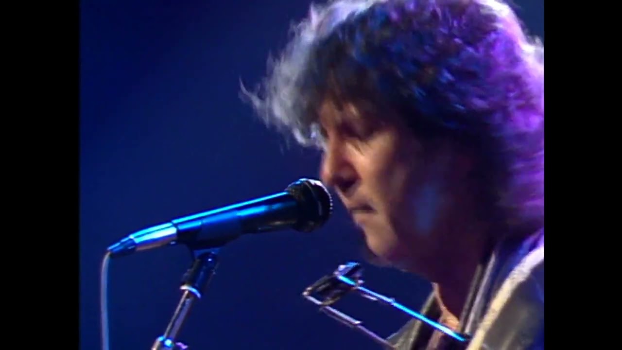 Tony Joe White - You're Gonna Look Good In Blues (РЕМАСТЕР 2025) 