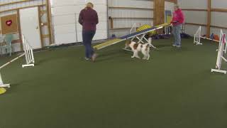 Maze Teeter Bang Game Agility