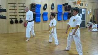 Hidaka-Gordon Boys pass the Yellow Belt 2 Stripe in Karate