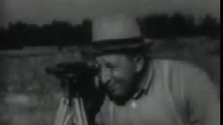 The Negro Farmer (1938)